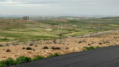أرض - عمان - الموقر - 15000 دأ
